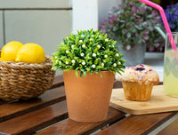 Minette Potted Flower - Madame Coco JO