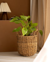Madame Coco Olivia Wicker Basket 25cm – Natural Woven Storage
