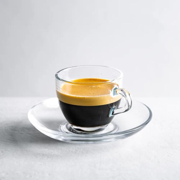 Cerve Brazil 12-Piece Espresso Cups & Saucers 75ml