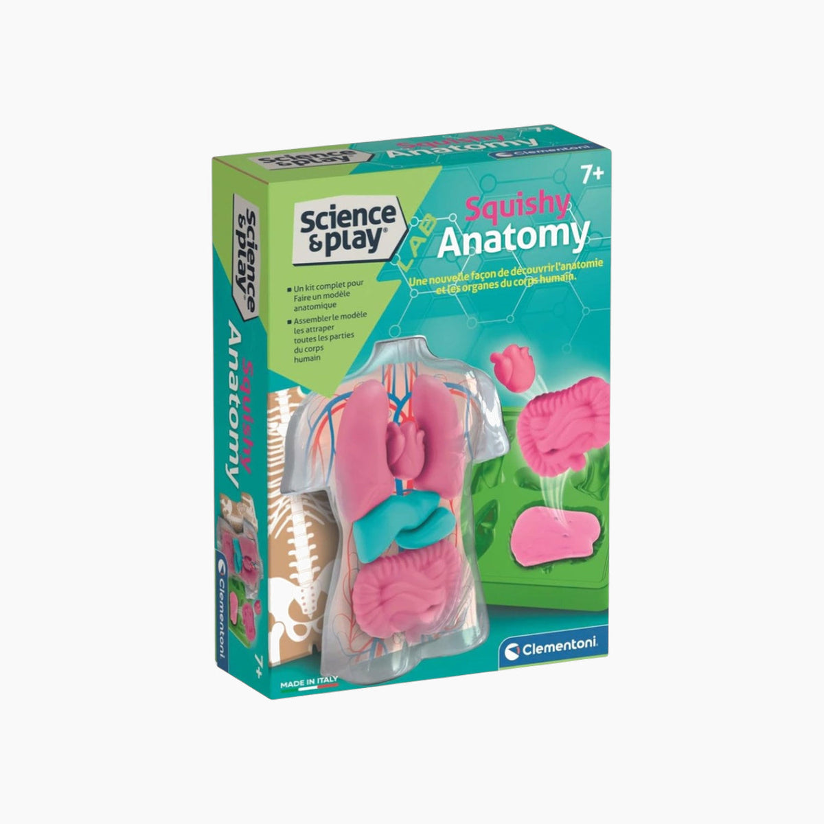 Clementoni Anatomy Squishy
