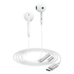 ACEFAST L7 USB-C Wired Earphones with Mic – Semi In-Ear
