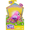 MooseLil' Bird Tiara Tweets – Little Live Pets | Talking & Singing Bird