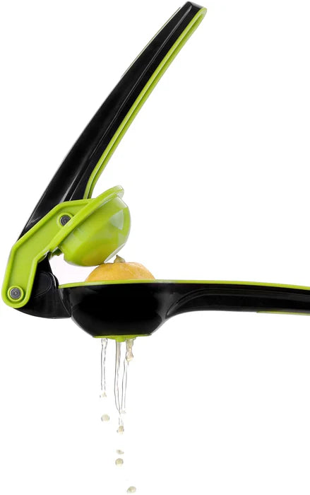 Ibili 25*9cm Citrus Juicer for Fresh Natural Juice