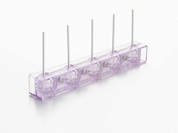 Ibili Cake Mold with 24 Sticks for Easy Dessert Making Ibili Cake Mold with 24 Sticks for Easy Dessert Making