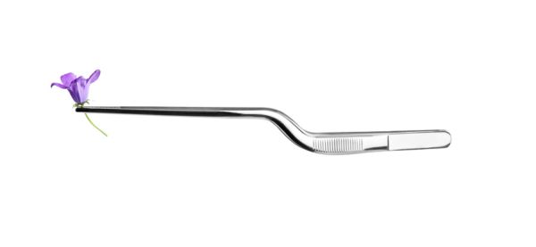 Ibili 16cm Stainless Steel Food Tong – Durable & Practical Ibili 16cm Stainless Steel Food Tong – Durable & Practical