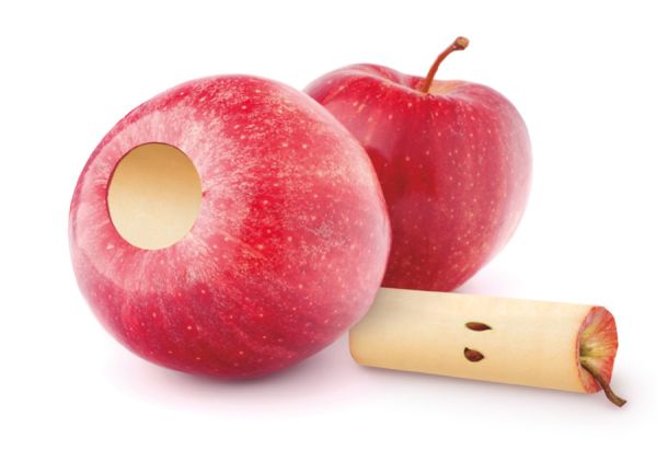 Ibili 19.5 cm Stainless Apple Corer — Practical & Durable Ibili 19.5 cm Stainless Apple Corer — Practical & Durable