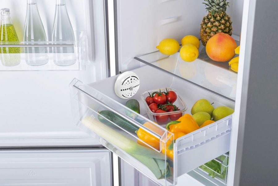 Ibili Vegetable & Fruit Keeper — Keep Fresh Longer