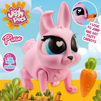 Eolo Jiggly Pets the Rabbit Musical Toy