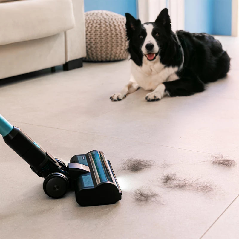 مكنسة سيكوتك Conga Rockstar 3500 Storm Pet Flex 