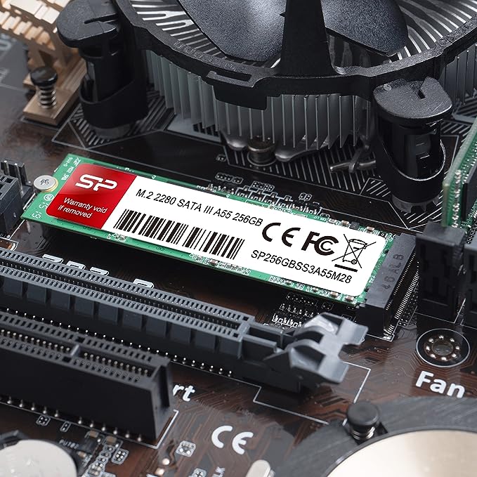 Silicon-Power M.2 Hard Disk 256GB A55