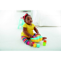 Mattel Butterfly Shape Sorter