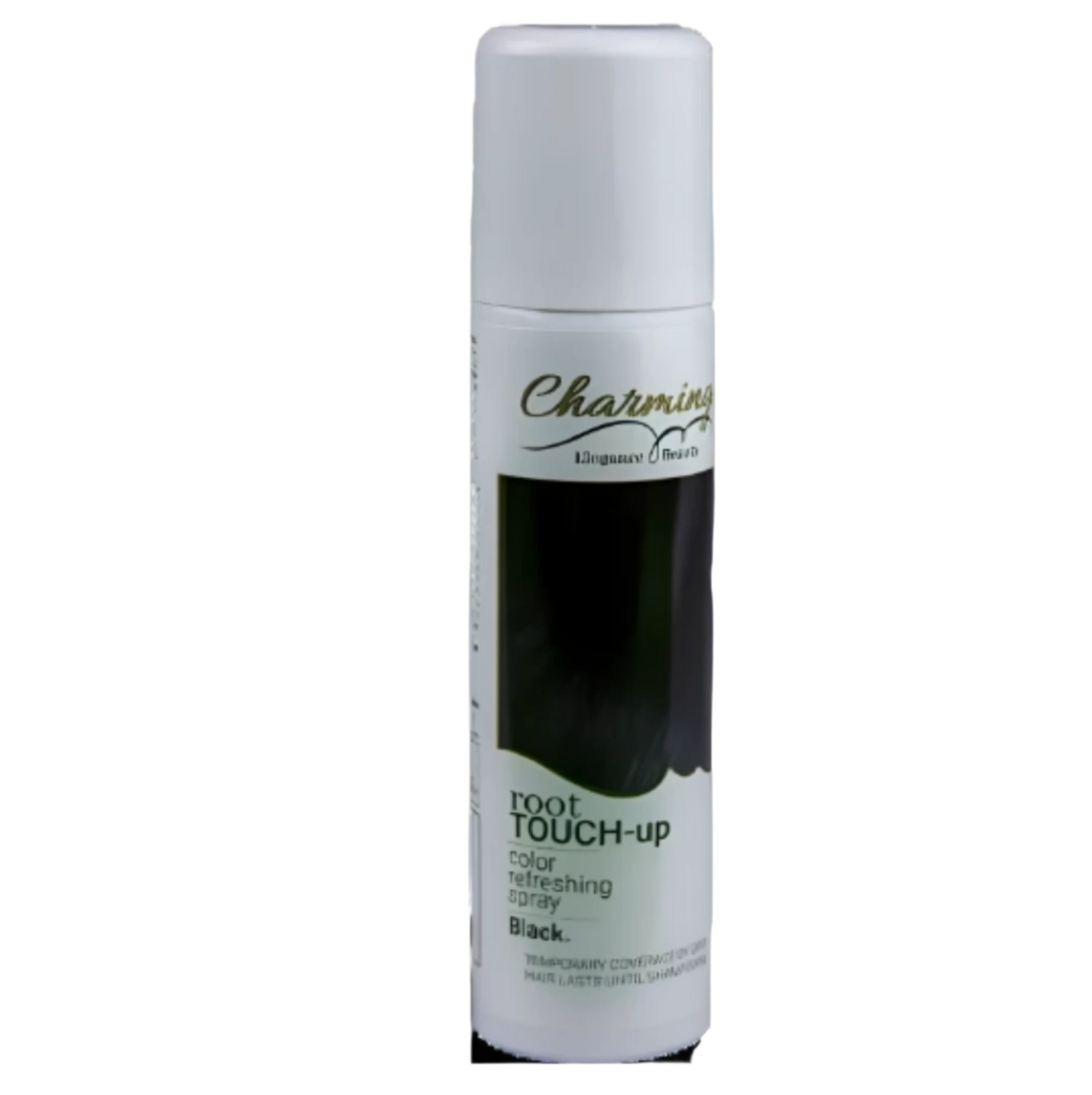 Charming Boot Concealer Touch Up Spray 75ml - Black Charming Boot Concealer Touch Up Spray 75ml - Black