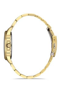 ساعة نسائية Daniel Klein DK.1.13099-2 أنيقة وعصرية