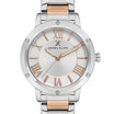 DANIEL KLEIN  DK.1.13498-3 WOMEN WATCH