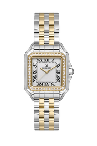 DANIEL KLEIN DK.1.13619-2 WOMEN WATCH