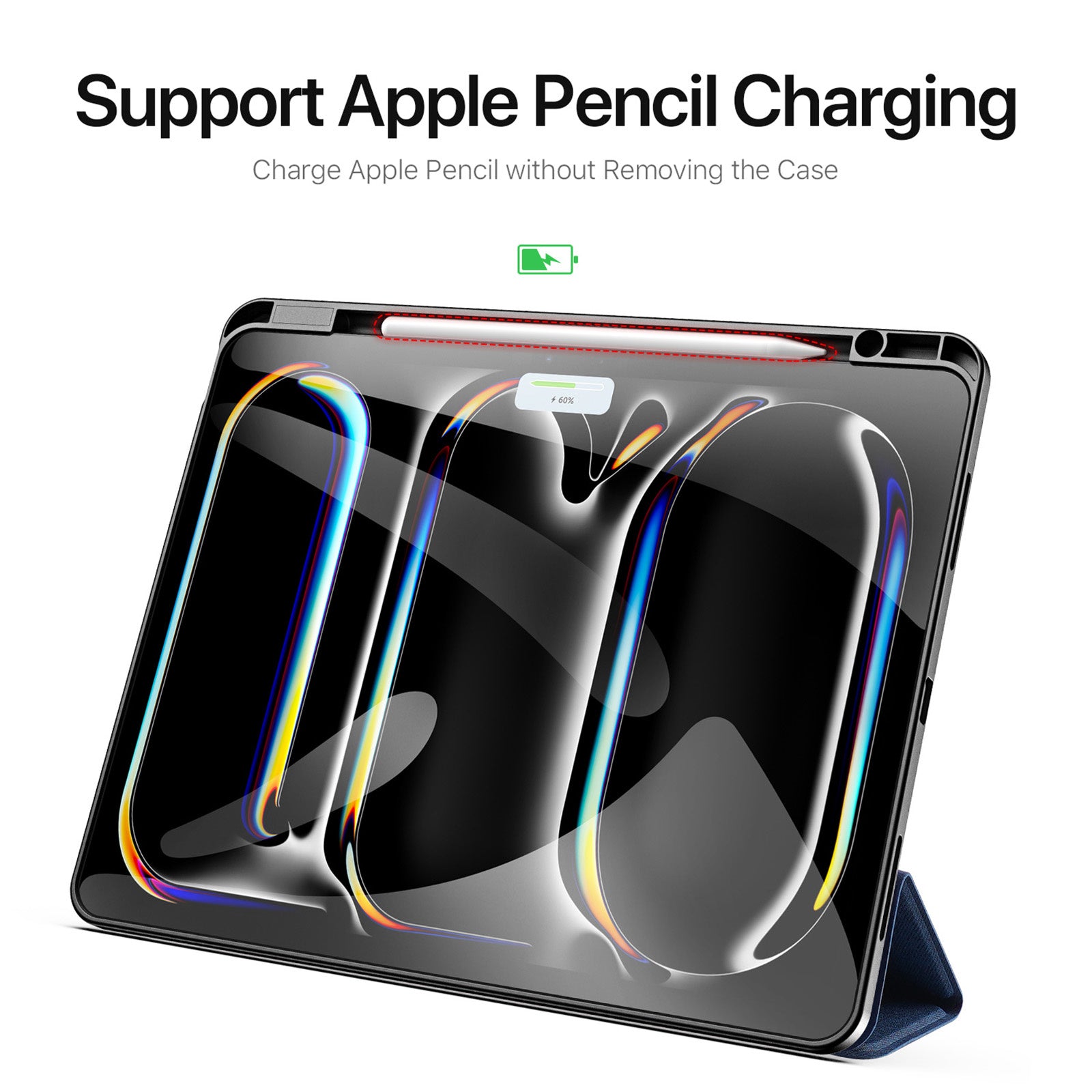Dux Ducis DOMO iPad Pro 13 (2024/2025)