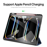 Dux Ducis DOMO iPad Pro 13 (2024/2025)