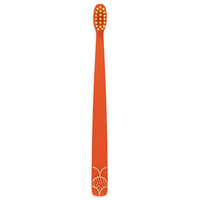 Flipper - Fun Animal Toothbrush With Holder for Kids - Elephant (Colour May Vary)