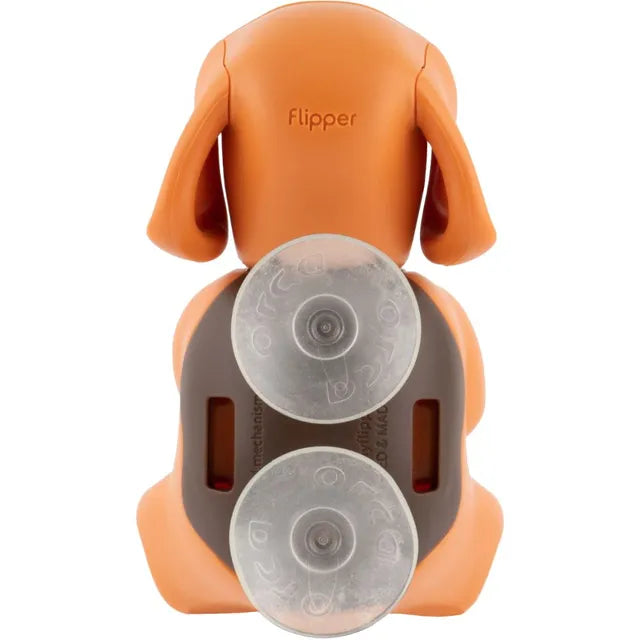حامل فرشاة أسنان Flipper صحي للأطفال - تصميم بيجل