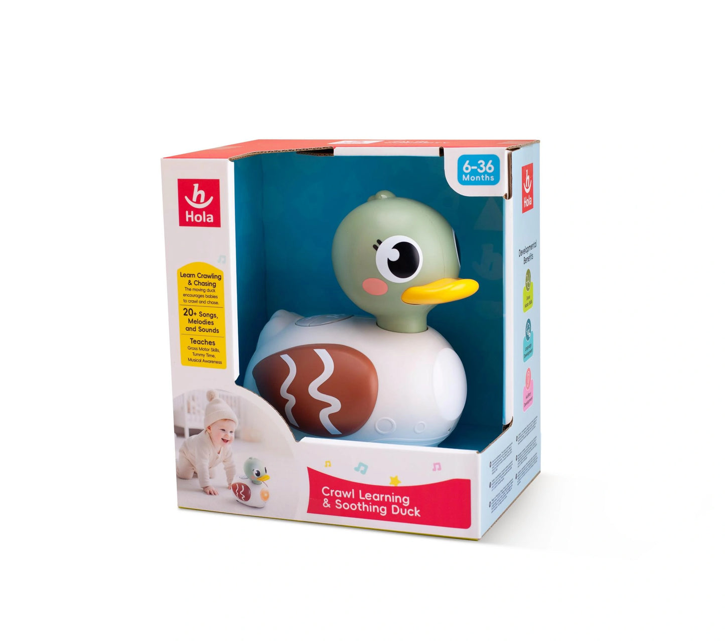 Hola Crawl Learning & Soothing Duck - Interactive Musical Toy