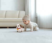 Hola Crawl & Pull Along Learning Puppy - Interactive Musical Toy