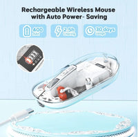 HAING HI-TBM100 Bluetooth & Wireless 2.4G Mouse