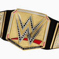 Mattel WWE Universal Title Belt