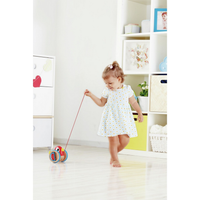 Hape Walk & Pull a Long Wooden Toy