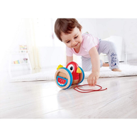 Hape Walk & Pull a Long Wooden Toy