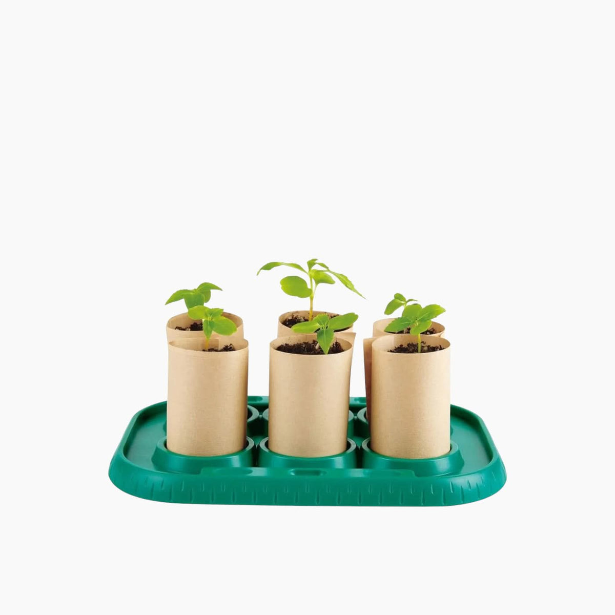 Hape Gardener's Greenhouse Toy