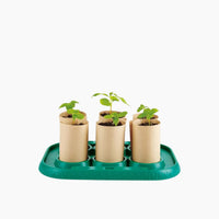 Hape Gardener's Greenhouse Toy