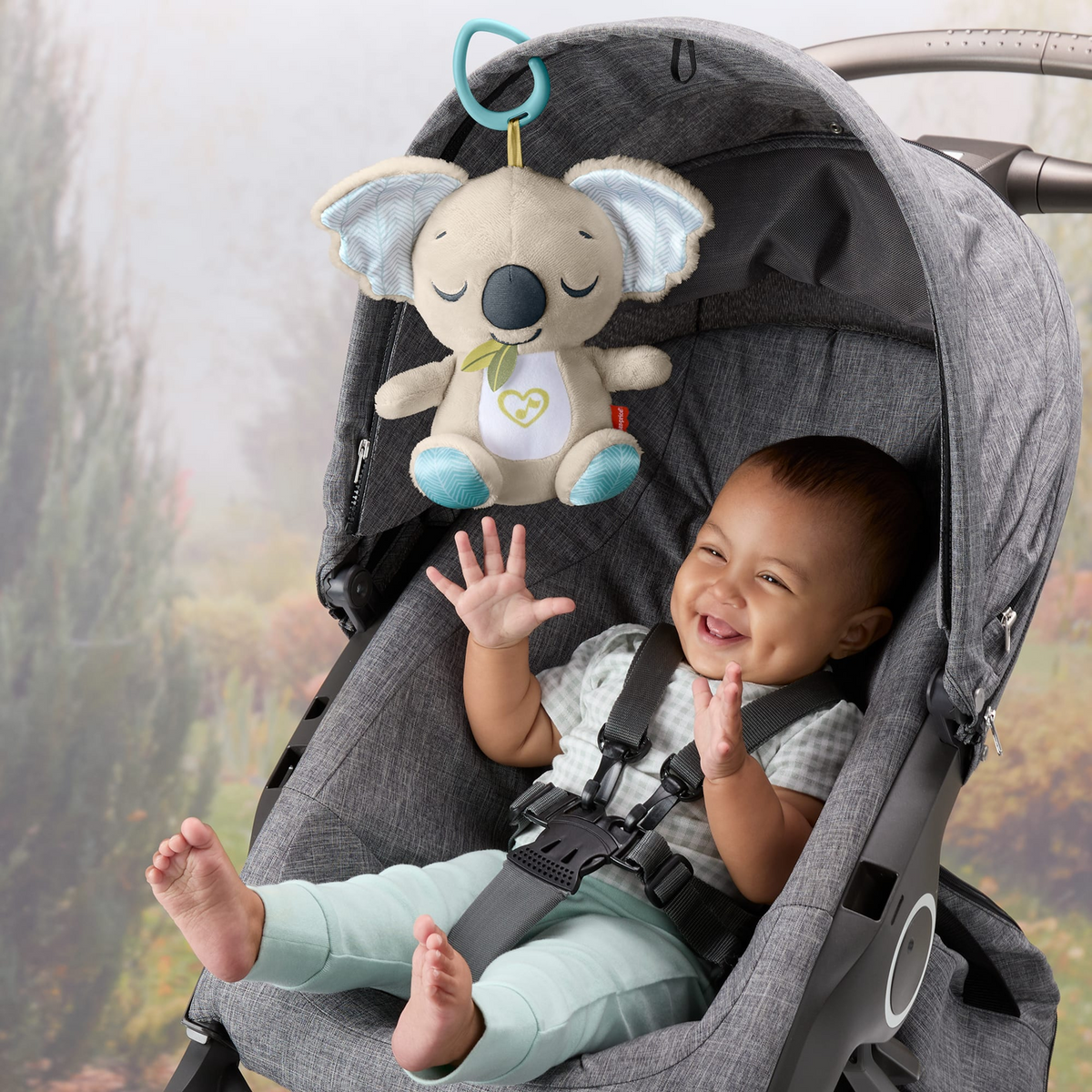 Fisher-Price On the Go Koala Soother