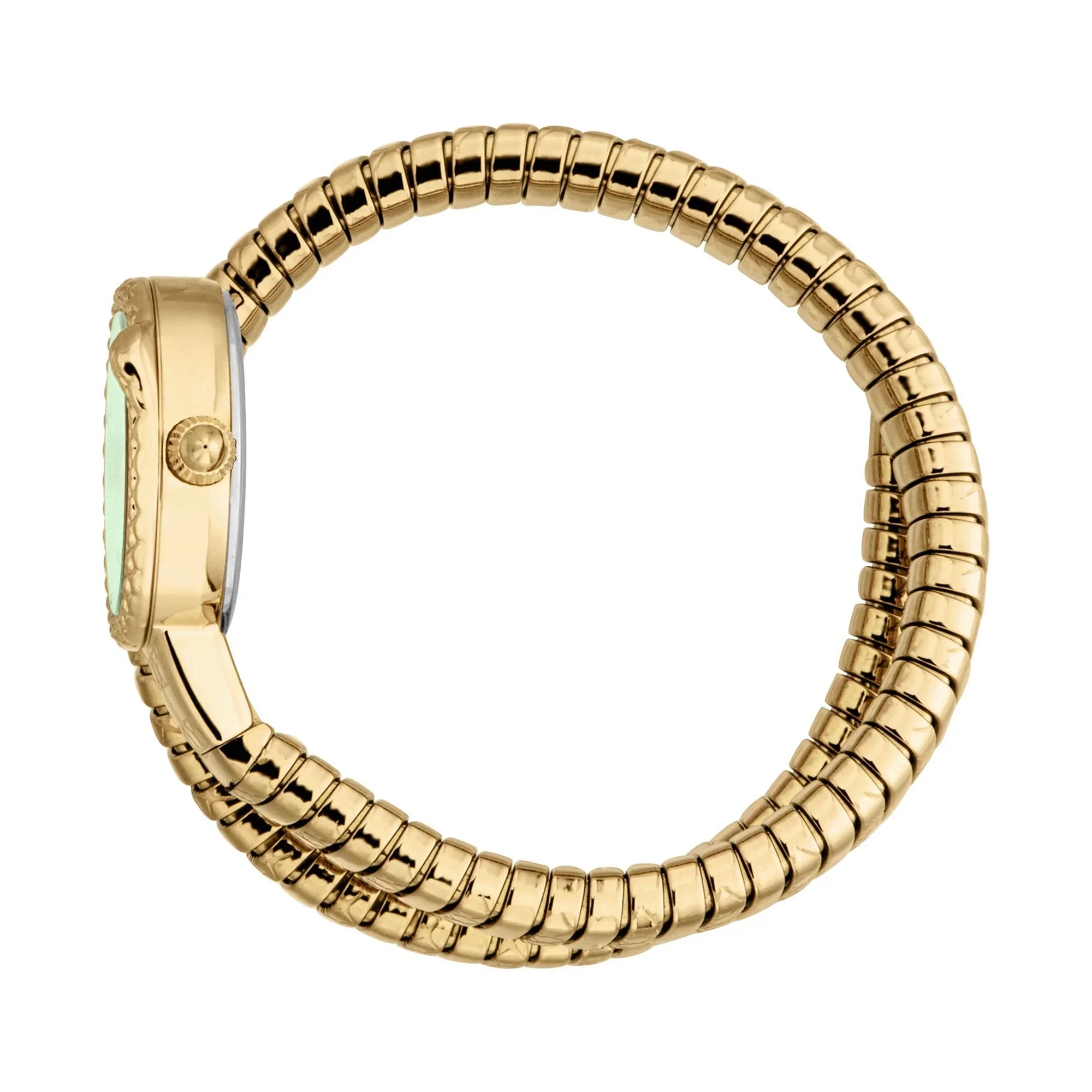 JUST CAVALLI JC1L351M0035 GOLDEN STEEL BAND GREEN DIAL FOR WOMEN