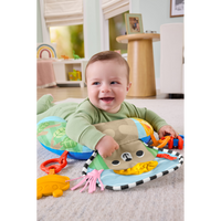 Fisher-Price Balanced Beginings Tummy Wedge