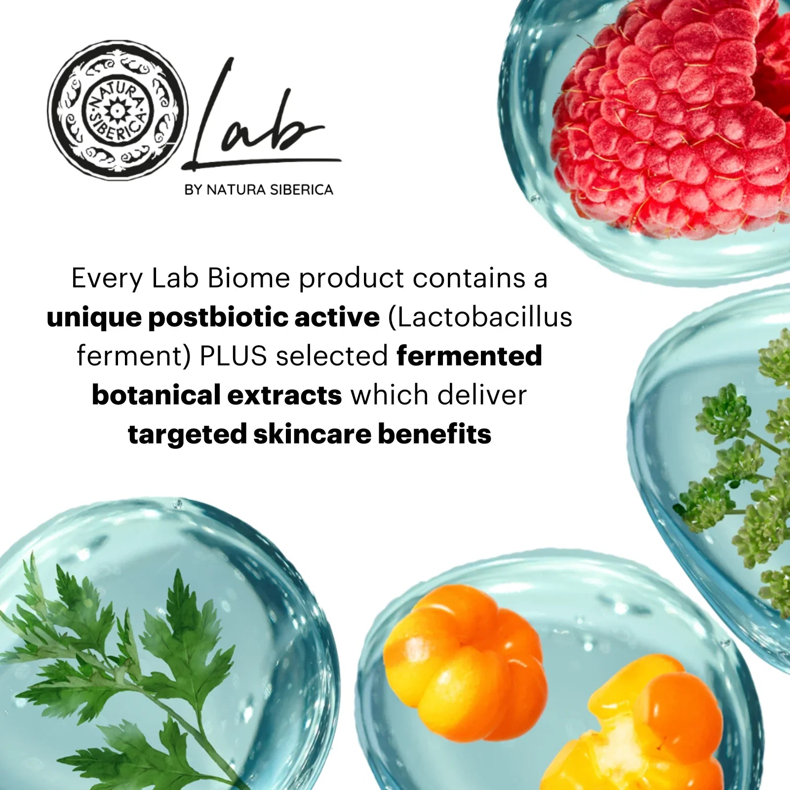 Lab Biome كريم ليلي بالريتينول النباتي 0.5% – 50 مل Lab Biome كريم ليلي بالريتينول النباتي 0.5% – 50 مل