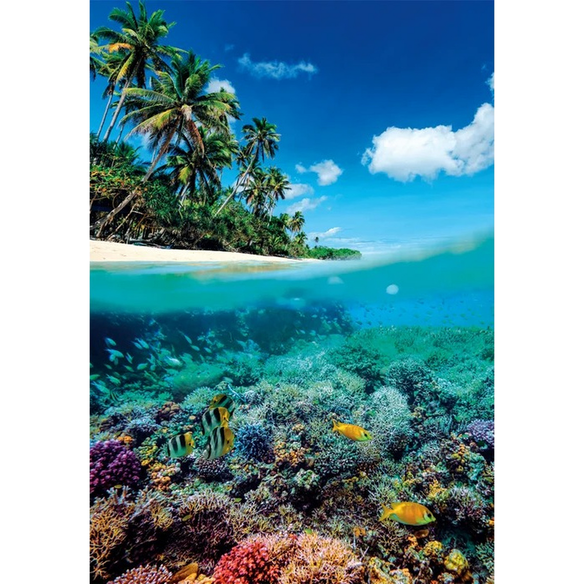 Clementoni Summer Paradise 2025-Compac Jigsaw Puzzle – 1000 Pieces