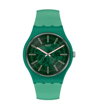 Swatch Sunbrush Grass So29G100