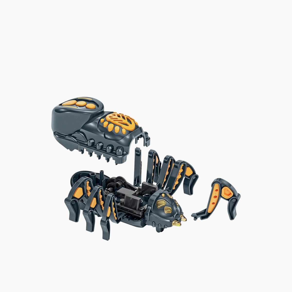 Clementoni Spider Robot