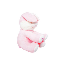 Pugs At Play Peek A Boo Bugs 10-Inches Battery Operated