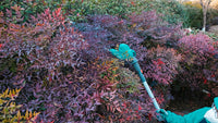TOTAL 20V Cordless Pole Saw & Hedge Trimmer Set – 2-in-1 Long Reach Garden Tool with Battery (TPTS201681)