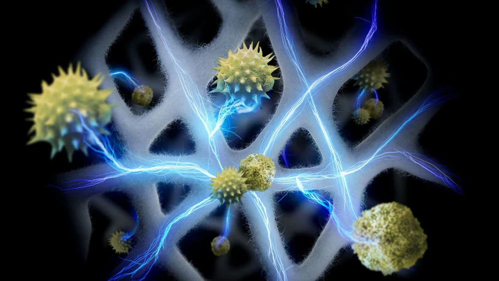 Dyson HushJet™ Purifier Compact HJ10 – Black/Teal