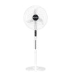 CONTI Stand Fan 18 Inch - Powerful & Quiet Cooling