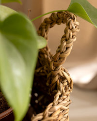 Olivia Wicker Basket 25cm - Madame Coco JO