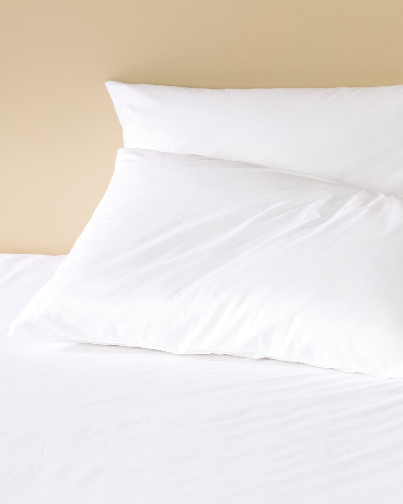 Manon Sıngle Size Ranforce Fitted Sheet Set - Madame Coco JO