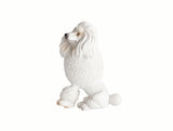 Madame Coco Dog Fridge Magnet | Decorative Kitchen Magnet