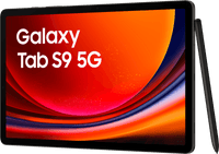 Samsung Galaxy Tab S9+ 5G - Grey