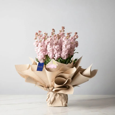 Stock Flower Bouquet