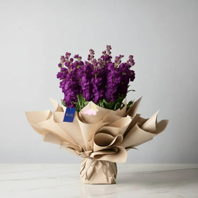 باقة رائعة من زهور الستوك الطازجة