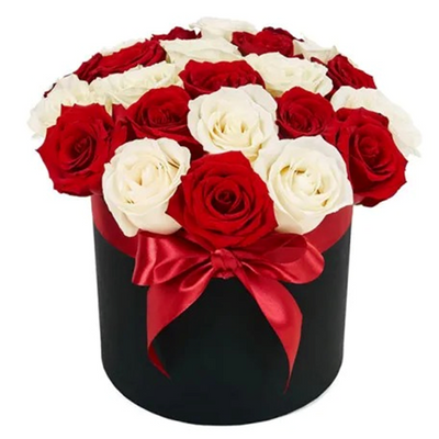 Red & White Box