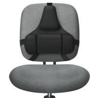 Fellowes Professional Series Back Support